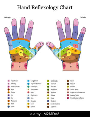 Riflessologia mano. Il acupressure alternative e fisioterapia trattamento sanitario. Zona grafico di massaggio con aree colorate. La numerazione e la lista di nomi di Foto Stock