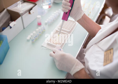 Ricercatore facendo ricerca in un laboratorio. Scienziato facendo prova di chimica in laboratorio. Medico di fare analisi mediche. Close up Foto Stock