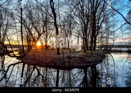Bellissimo paesaggio colorato. Un piccolo fiume e un lago nella foresta di mattina. Foto Stock