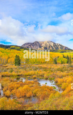 East Beckwith montagna, Kebler Pass, Crested Butte, Colorado, STATI UNITI D'AMERICA Foto Stock