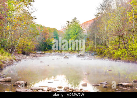 Mattina river tea creek paesaggio con nebbia, nebbia e autunno caduta delle foglie foresta, sassi o pietre in acqua poco profonda in West Virginia durante il sunrise Foto Stock