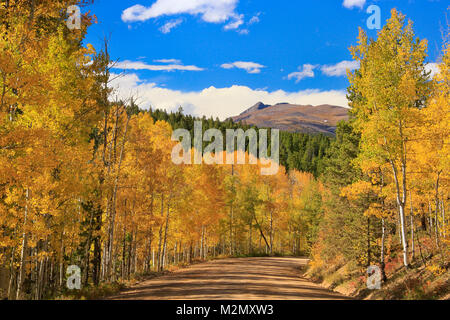 Grumo Gultch Road, Nederland, Colorado, STATI UNITI D'AMERICA Foto Stock