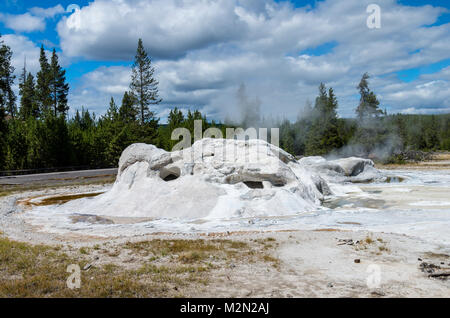 Grotto Geyser ha una forma unica costruito di geyserite deposites. Upper Geyser Basin. Parco Nazionale di Yellowstone, Wyoming USA Foto Stock