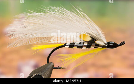 Black Ghost streamer pesca fly Foto Stock