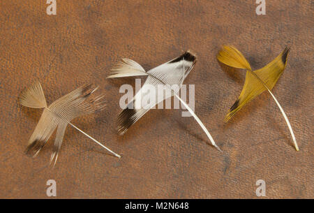 Pernice Red-Legged punteggiate di piume di collo, preparato per la legatura in. (Alectoris rufa) questi sono il collo screziato piume chiamato per in molti wet fly Foto Stock