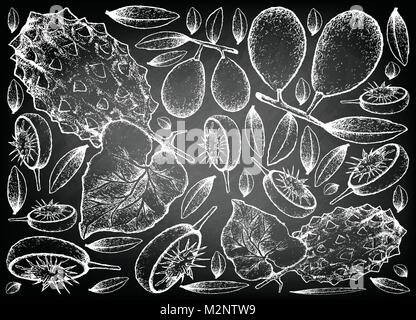 La frutta tropicale, lo sfondo dell'illustrazione di mano il bozzetto di fresco e Ambarella cornuto melone o frutti Kiwano sulla lavagna. Illustrazione Vettoriale