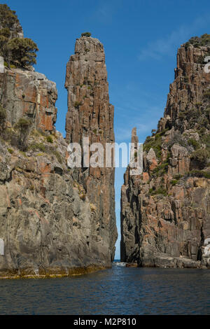 Il candelabro, Cape Hauy, Tasman NP, Tasmania, Australia Foto Stock