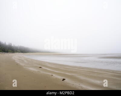 Tofino, Combers beach, nella nebbia - Giugno 30/2017 - guardando verso sud. Una fitta nebbia si fonde l'oceano verso il cielo. Foto Stock