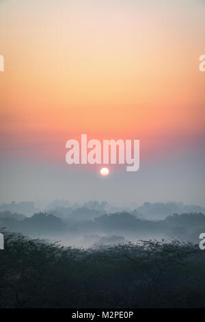 Un inizio di mattina inverno alba con uno strato sottile di nebbia al più iconica Qutub Minar nella città capitale di New Delhi Foto Stock