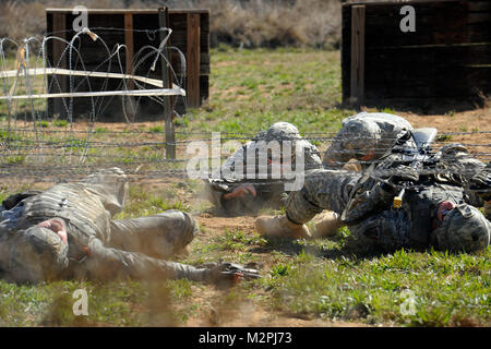 Gruppo IMT dal Texas Dipartimento Militare Foto Stock