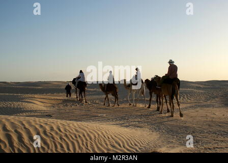 Treeking cammello nel deserto del Sahara vicino a Douz, Tunisia Foto Stock