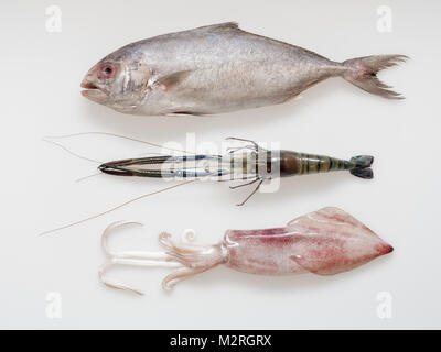 Mescolare i frutti di mare, nero-nastrati Pesce di carangidi, tiger, gamberi e seppie, isolato su sfondo bianco Foto Stock