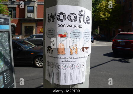 Annuncio per woofle cane servizio a piedi su un lampione Brooklyn Park Slope new york STATI UNITI D'AMERICA Foto Stock
