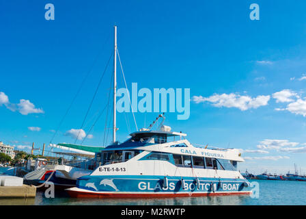 In barca dal fondo di vetro, la barca turistica, porto, Port d'Alcudia Maiorca, isole Baleari, Spagna Foto Stock