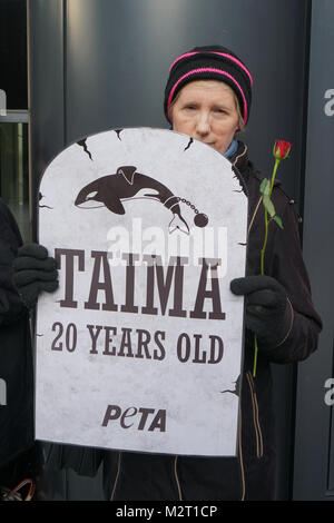 Londra, Regno Unito. 8 febbraio, 2018. PETA protesta attivista durante la Thomas Cook incontro generale annuale a Londra il 8 febbraio 2018. Gli attivisti installare 'pietra tombale' e tenere rose rosse per ciascuno dei orcas che sono morti a SeaWorld. Credito: Vedere Li/Alamy Live News Foto Stock