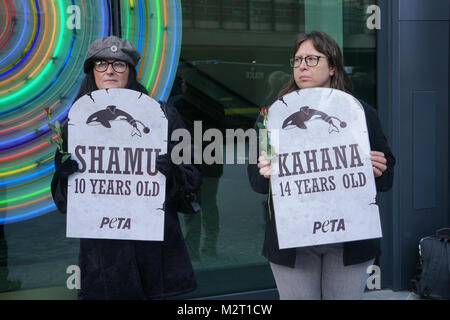 Londra, Regno Unito. 8 febbraio, 2018. PETA protesta attivista durante la Thomas Cook incontro generale annuale a Londra il 8 febbraio 2018. Gli attivisti installare 'pietra tombale' e tenere rose rosse per ciascuno dei orcas che sono morti a SeaWorld. Credito: Vedere Li/Alamy Live News Foto Stock