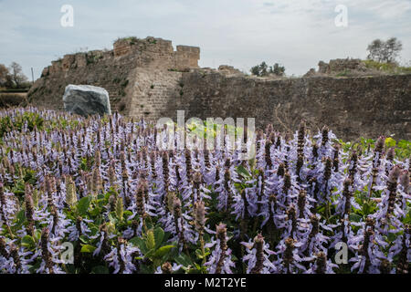 Cesarea, Israele. 8 febbraio, 2018. Crociato di fortificazioni di epoca a Cesarea. Credito: Nir Alon/Alamy Live News Foto Stock