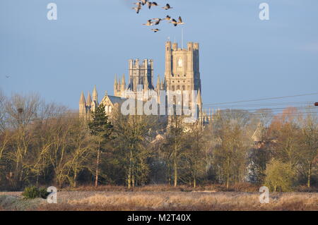 Cattedrale di Ely, Cambridgeshire. 8 febbraio, 2018. Regno Unito: Meteo nuvoloso di Ely Cathedral. Credito: John Worrall/Alamy Live News Foto Stock