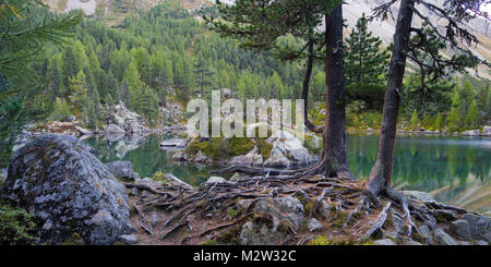 Lago di Saoseo, Grigioni, Poschiavo, Svizzera Foto Stock