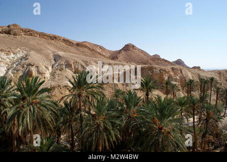 Chebika oasi, Tunisia meridionale Foto Stock