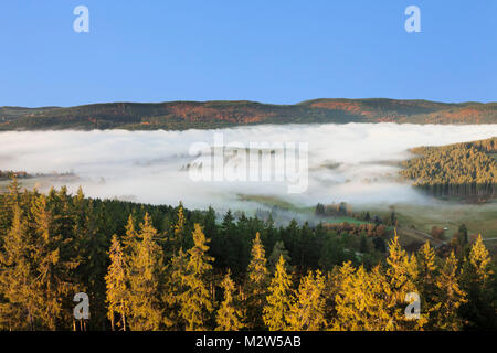 Nebbia di mattina su Schluchsee, Foresta Nera, Baden-Württemberg, Germania Foto Stock