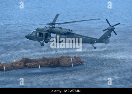NEW ORLEANS - Louisiana National Guard UH-60 Black Hawk appartenenti al primo battaglione, 244Reggimento di aviazione, si prepara a goccia di fasci di alberi di Natale per chiudere in un divario nel Bayou Sauvage National Wildlife Refuge aiutare a ricostruire le zone umide, Marzo 13, 2012 a New Orleans. La LANG ha lavorato con gli Stati Uniti Pesci e fauna selvatica servizio e la città di New Orleans dal 1989 sull'albero di Natale - Programma di riciclo. (U.S. Air Force foto di Master Sgt. Toby M. Valadie, Louisiana National Guard membro Public Affairs Office/RILASCIATO) Rilasciare il gancio 120313-F-VU198-584 dalla Louisiana National Gu Foto Stock