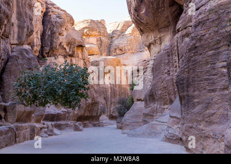 In rock casted canali d acqua e alcove settari, Siq, gorge, 1200 m, Petra, capitale del Nabataeans, patrimonio culturale mondiale dell UNESCO, Giordania, Asia Foto Stock