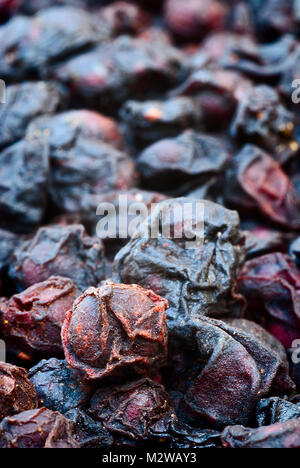 Essiccato (schisandra Schisandra chinensis) Frutta commestibile noto come 'cinque-gusto berry' Foto Stock