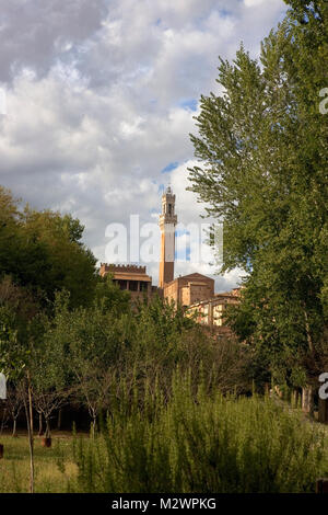 La Torre del Mangia, dal Giardino Medievale, Orto de' Pecci a Siena, Toscana, Italia Foto Stock