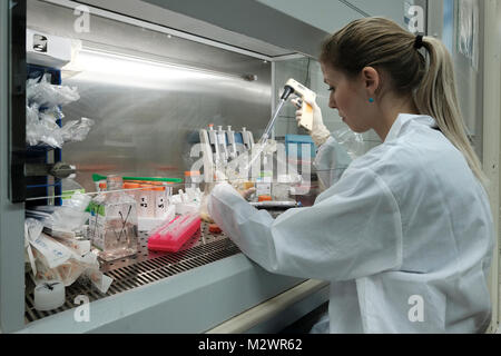 Ricercatore Alina Freiman prova la vitalità delle cellule presso i laboratori di base israeliana biotecnologia Biogroup Bonus società che applicano tecnologie innovative per la fornitura di tessuto trattato con ingegneria vitale di innesti ossei situato a Matam hi-tech park di Haifa, Israele. Biogroup Bonus diventa pubblico con la sua mondana tecnologia esclusiva che consente la crescita del vivo e attivo il tessuto umano al di fuori del corpo con i risultati della sperimentazione clinica in cui i pazienti hanno ottenuto lab-cresciuto il tessuto osseo dal proprio del paziente cellule di grasso e il trapianto è tornato in una chirurgia minimamente invasiva tramite iniezione. Foto Stock