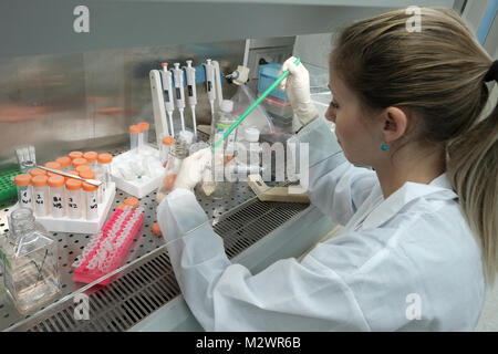 Ricercatore Alina Freiman prova la vitalità delle cellule presso i laboratori di base israeliana biotecnologia Biogroup Bonus società che applicano tecnologie innovative per la fornitura di tessuto trattato con ingegneria vitale di innesti ossei situato a Matam hi-tech park di Haifa, Israele. Biogroup Bonus diventa pubblico con la sua mondana tecnologia esclusiva che consente la crescita del vivo e attivo il tessuto umano al di fuori del corpo con i risultati della sperimentazione clinica in cui i pazienti hanno ottenuto lab-cresciuto il tessuto osseo dal proprio del paziente cellule di grasso e il trapianto è tornato in una chirurgia minimamente invasiva tramite iniezione. Foto Stock