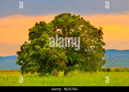 Pittura di olio di albero da solo in estate prati Foto Stock
