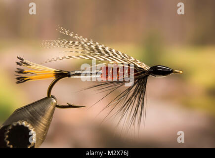 Peter Ross Streamer pesca fly Foto Stock