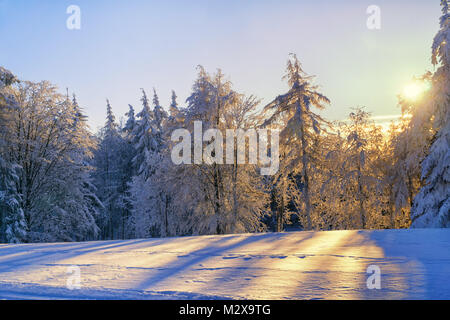 Scenic tramonto nella foresta - inverno montagne paesaggio. Annoso alberi illuminato dalla luce solare. Foto Stock