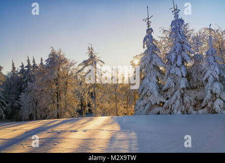 Scenic tramonto nella foresta - inverno montagne paesaggio. Annoso alberi illuminato dalla luce solare. Foto Stock