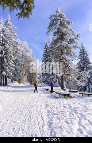 Due donne fondisti sono in appoggio sulla rotta. Tall lonely pino che cresce su una collina dalla strada. Annoso alberi, cielo azzurro e sole. Foto Stock