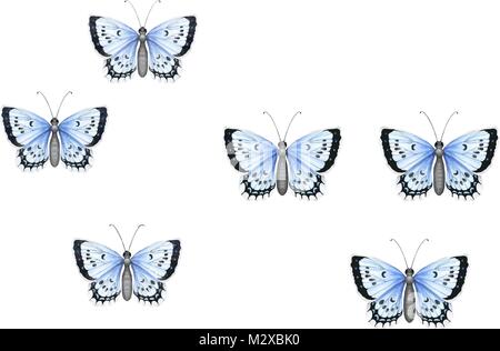 Colorate farfalle realistico isolati su sfondo bianco. Vista dall'alto. Illustrazione Vettoriale
