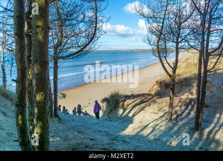 Spiaggia di Newborough su Anglesey, come visto attraverso una radura tra gli alberi. Foto Stock
