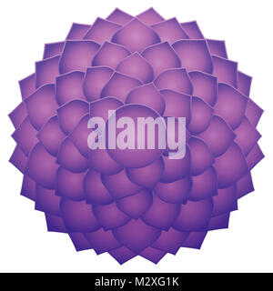 Mille petaled lotus o viola Sahasraha chakra della corona. La guarigione spirituale il simbolo. Isolato illustrazione vettoriale su sfondo bianco. Foto Stock