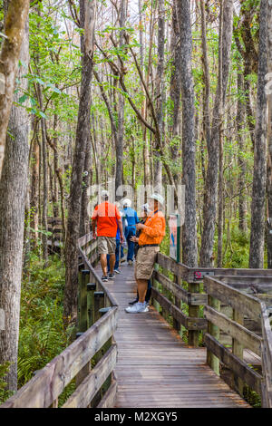 La gente sul Boardwalk in sei miglia Cypress Slough preservare in Fort Myers, Florida nel Ubnited membri Foto Stock