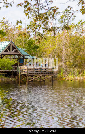 La gente sul Boardwalk in sei miglia Cypress Slough preservare in Fort Myers, Florida nel Ubnited membri Foto Stock