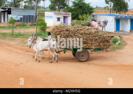 L' India , il Karnataka, Hampi, Ox carrello con la canna da zucchero su una pesatrice a ponte Foto Stock