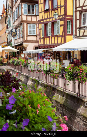 A metà degli edifici con travi di legno, fiori e scene di strada nella vecchia Colmar, Alsazia, Francia Foto Stock