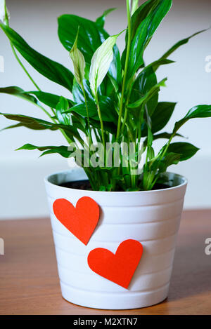 Due cuore rosso, di amore e di San Valentino concetto Foto Stock