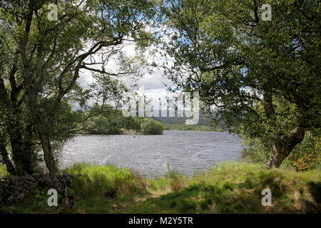 Loch Kinord nel Muir of Dinnet Riserva Naturale Nazionale vicino a Ballater, Aberdeenshire, Scozia Foto Stock