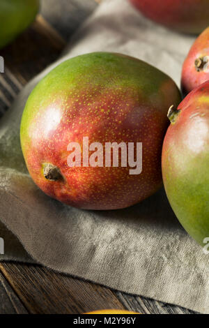 Materie Rosso Verde organico frutto di Mango pronto a mangiare Foto Stock