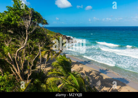 Si affacciano su Petite Anse vicino Sauteurs, Grenada, dei Caraibi Foto Stock