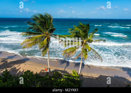 Si affacciano su Petite Anse vicino Sauteurs, Grenada, dei Caraibi Foto Stock