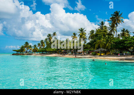 Spiaggia di sabbia e palme di Pigeon Point, Tobago Trinidad e Tobago, dei Caraibi Foto Stock