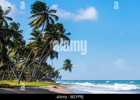 La spiaggia di Sauteurs, Grenada, dei Caraibi Foto Stock